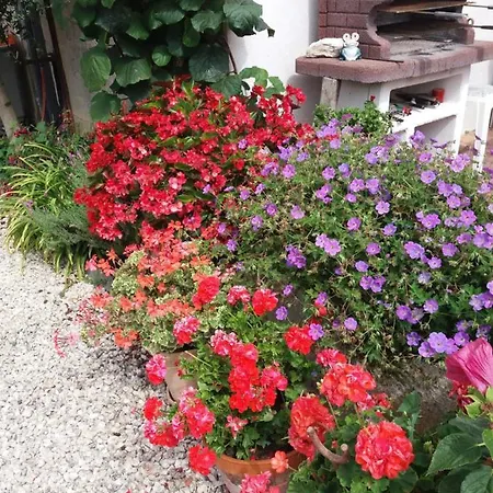 Forestier Marennes (Charente-Maritime)