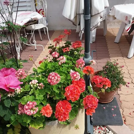 Forestier Σπίτι διακοπών *